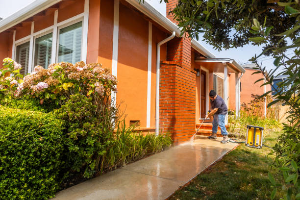 Professional Pressure Washing in Woodstock, VA